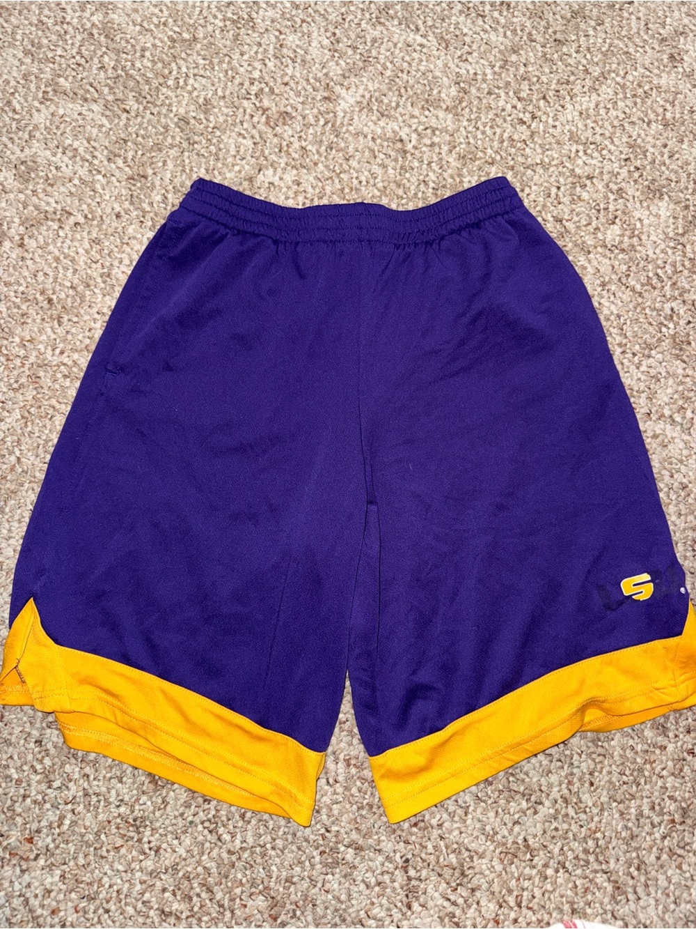 Team Athletics Men's Athletic Shorts in Purple